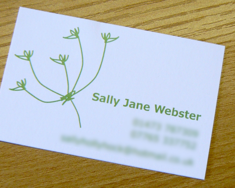 Early business card for Wild Practice